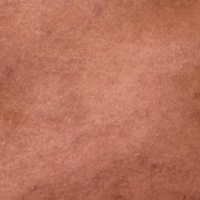 swatch image style
