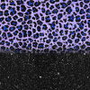 swatch image style