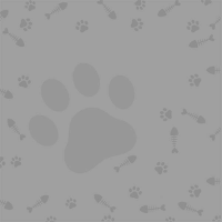 swatch image style