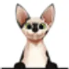 SPHYNX CAT