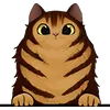 Cat (23)