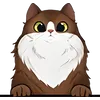 Cat (3)