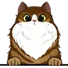 Cat (2)