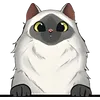 Cat (6)