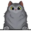 Cat (33)