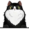 Cat (5)