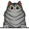 Cat (11)