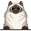 Cat (9)