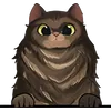 Cat (20)