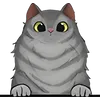 Cat (14)