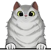 Cat (24)