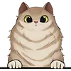 Cat (30)