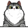 Cat (1)