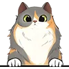 Cat (12)
