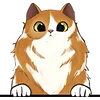 Cat (25)