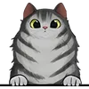 Cat (7)