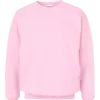 Sw Light Pink