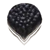 Black 6