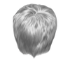 1 (1)