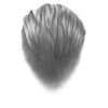 6 (1)