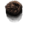 4 (4)