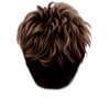 5 (3)