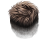 4 (5)