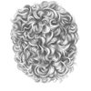 7 (1)