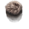 4 (1)