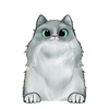 56