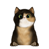 42
