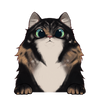 36