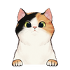 55