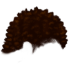 4 (1)