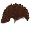 4 (5)