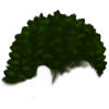 4 (3)
