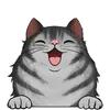 Dlouhosrsté kočky7