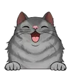 Dlouhosrsté kočky5