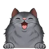 Dlouhosrsté kočky42