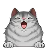 Dlouhosrsté kočky10