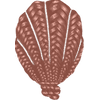 60