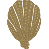 55