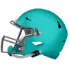 Helmet (11)