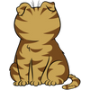 Image 27