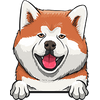 Akita 1