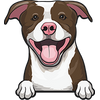 American Pit Bull Terrier 2