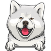 Akita 3
