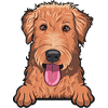 Airedale Terrier