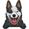 Australian Cattle Dog (Heeler) 1