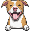American Pit Bull Terrier 1